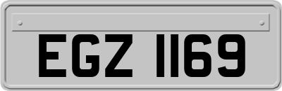 EGZ1169