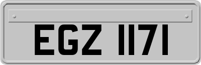 EGZ1171