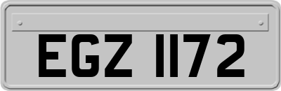 EGZ1172