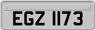 EGZ1173