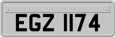 EGZ1174