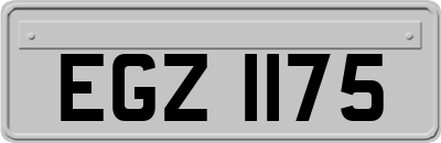 EGZ1175