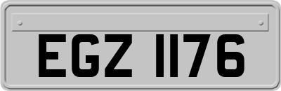 EGZ1176