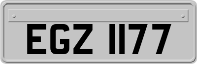 EGZ1177