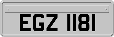 EGZ1181