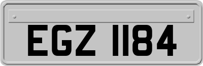 EGZ1184
