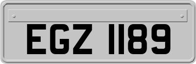 EGZ1189
