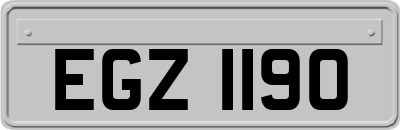 EGZ1190