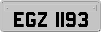 EGZ1193