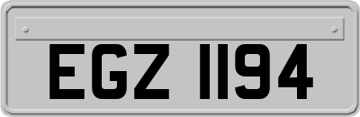 EGZ1194