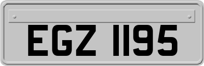 EGZ1195