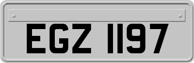 EGZ1197
