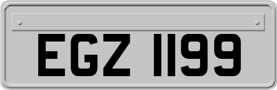 EGZ1199