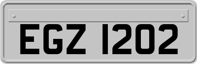 EGZ1202