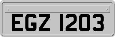 EGZ1203