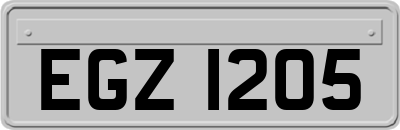 EGZ1205