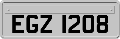 EGZ1208