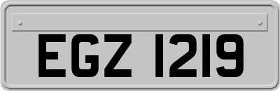 EGZ1219