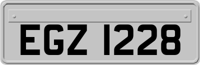 EGZ1228