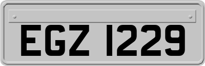EGZ1229