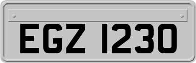 EGZ1230