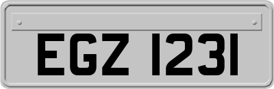 EGZ1231