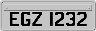 EGZ1232