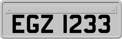 EGZ1233