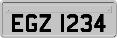 EGZ1234