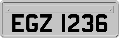 EGZ1236