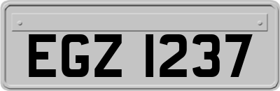 EGZ1237