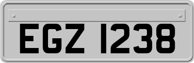 EGZ1238