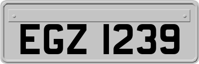 EGZ1239