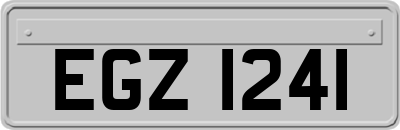 EGZ1241