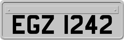 EGZ1242