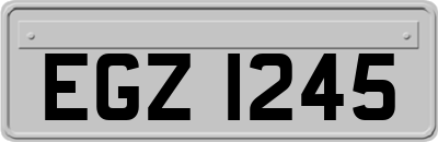 EGZ1245