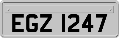 EGZ1247