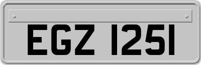 EGZ1251