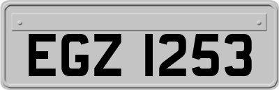 EGZ1253