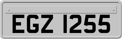 EGZ1255