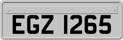 EGZ1265