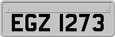 EGZ1273