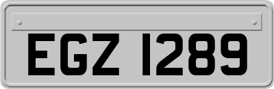 EGZ1289