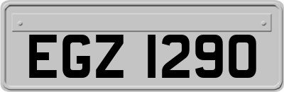 EGZ1290