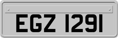 EGZ1291