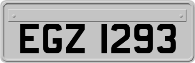 EGZ1293