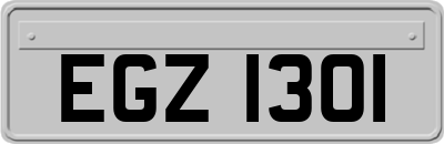 EGZ1301