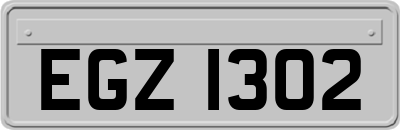 EGZ1302
