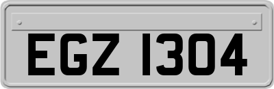 EGZ1304