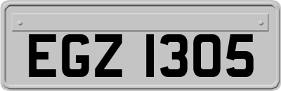 EGZ1305